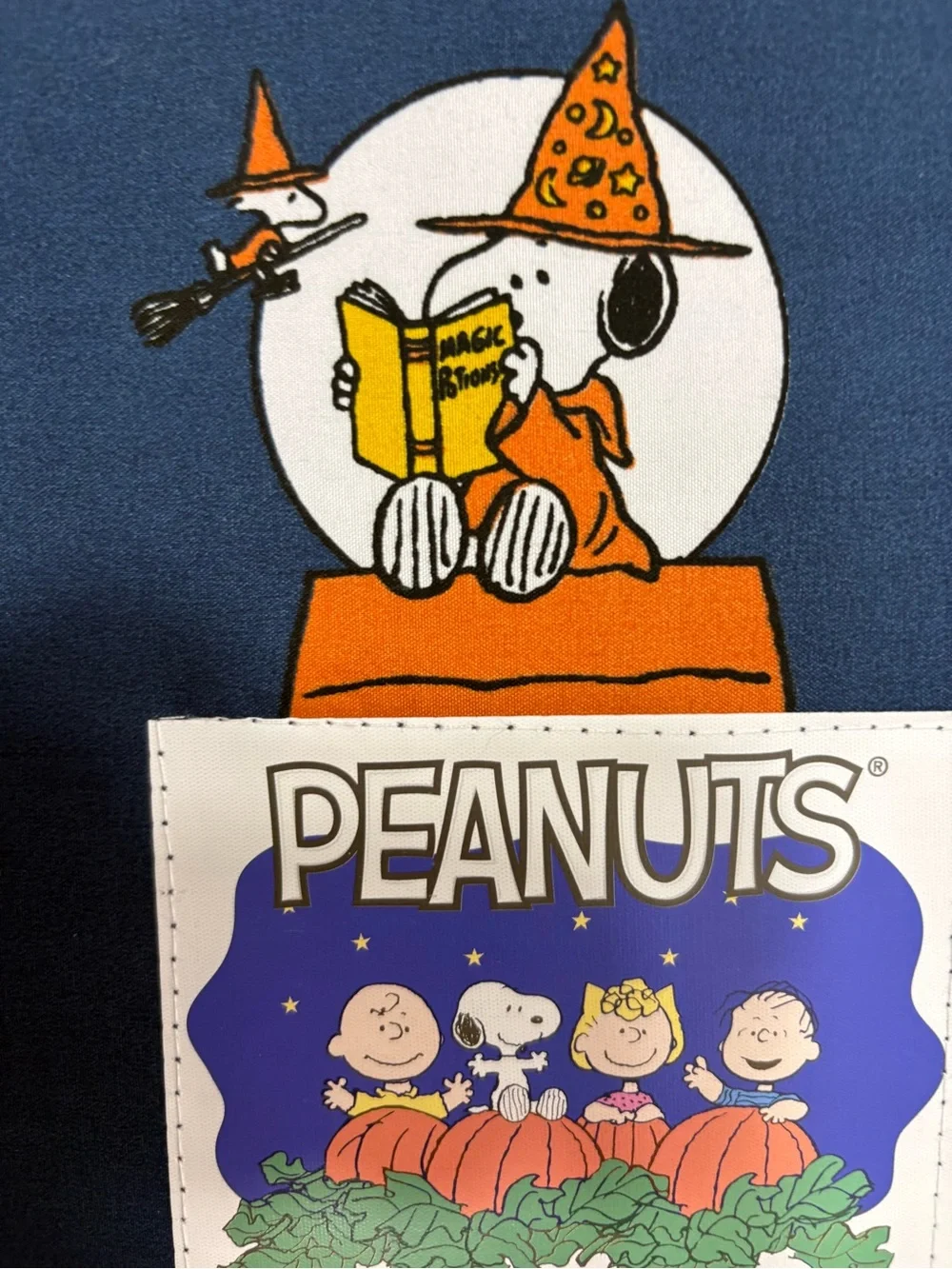 Peanuts Snoopy Halloween Full Sheet Set